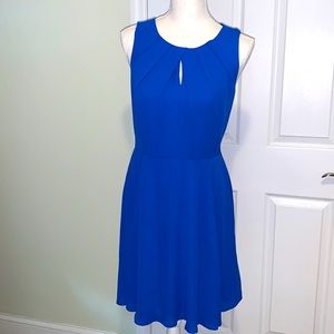Express cobalt blue dress